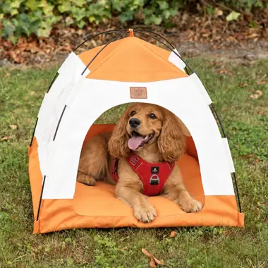 Cama tienda (iglú) — 58 × 58 × 48 cm · Beige y naranja