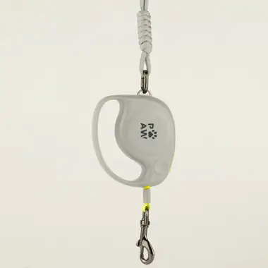 Correa Elephant — Gris · 2 m